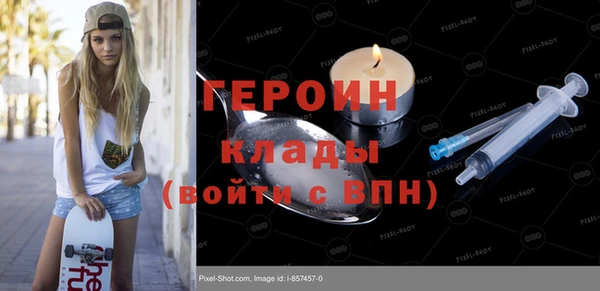 стаф Алексин