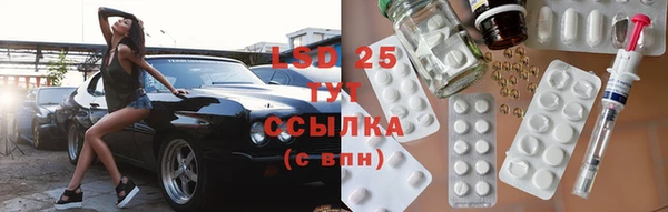 стаф Алексин