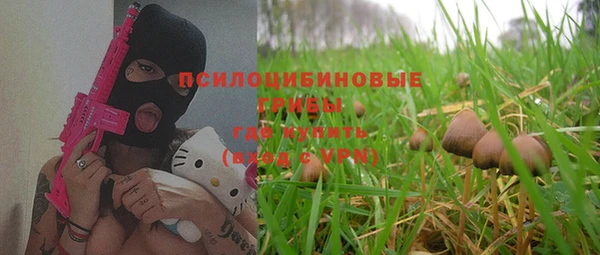 дмт Алексеевка
