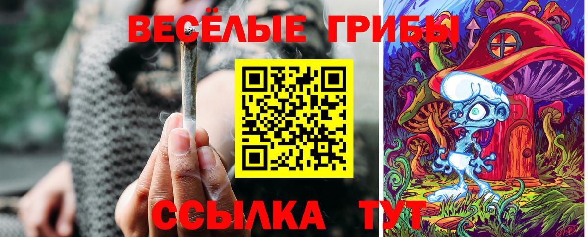 Псилоцибиновые грибы прущие грибы Брянск
