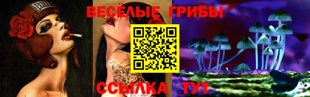 Псилоцибиновые грибы Magic Shrooms  закладки  Брянск  Вход с VPN 